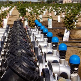 UPLYKKE Air Relief Valve 3/4 inch Air and Vacuum Release in The Irrigation Water Saving Agriculture Drip Irrigation System Protected Outlet - 1 Pcs