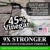 Nature's Freedom 45% Concentrated Vinegar, 2 Gallon - Dilutes to