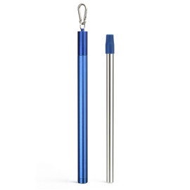 Sursip Water Filter Straw Reusable Stainless Steel Portable Outdoor Emergency Survival Gear for Camping & Hiking Travel Personal Water Purifier Filter Straw(1 Pack)