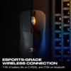 Fnatic BOLT Schwarz kabellose Gaming Maus – Pixart 3370 Sensor,