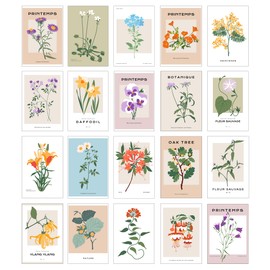 20 Piece Botanical Graphic Garden Flower Collage Kit - Art Boheme, French Printemps, Minimalist, Teen Room Wall, Dormitory Bedroom Decorations, Vintage Aesthetic, 4x6 Professional Photos