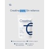 ZONE Creatina Monohidratada 100% Pura | Creatina Micronizada en Polvo