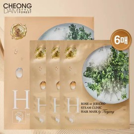 Cheongdam Style 청담스타일 포레스트 부활초 스팀 클리닉 헤어팩 2박스(6매) Cheongdam Style Forest Renewal Steam Clinic Hair Pack 2 Boxes (6 Sheets)