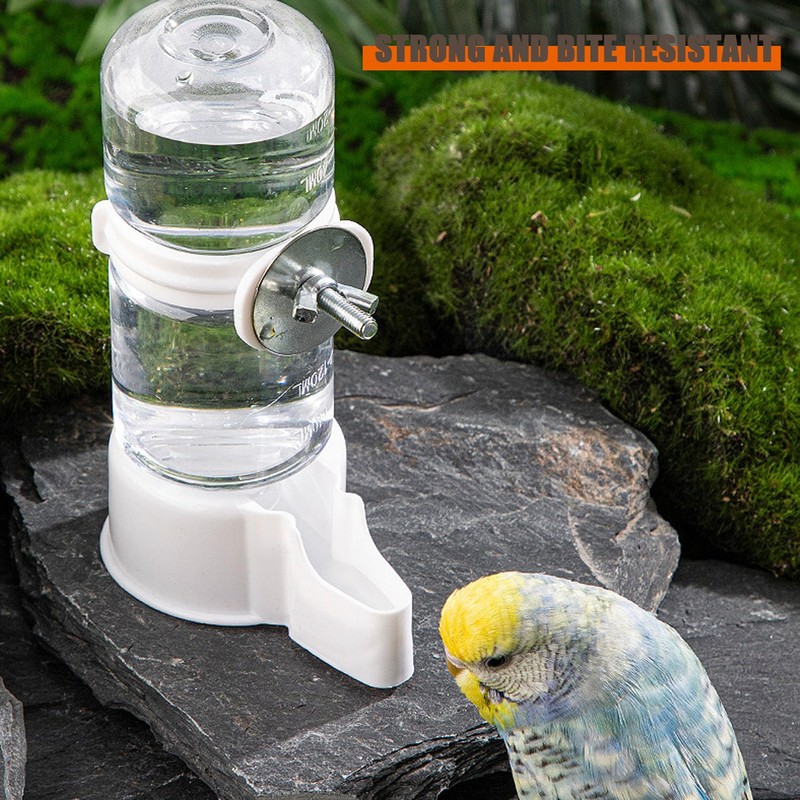 Shengsenfu Automatic Bird Water Dispenser, Parrot Feeder, Bird Cage Suspended