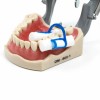 CAREPACY 10pcs Dental Dentist Cotton Roll Holder Blue-Disposabl