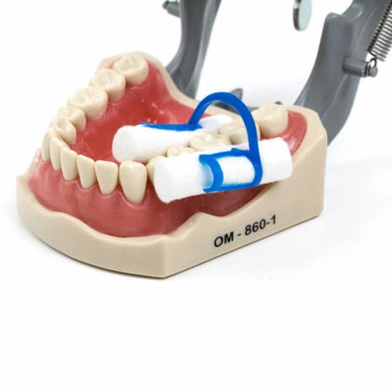 CAREPACY 10pcs Dental Dentist Cotton Roll Holder Blue-Disposabl