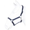 HKM by Reiterladen24 Basicline Headcollar Dark Blue Shetty