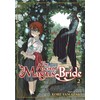 The Ancient Magus' Bride Vol. 2