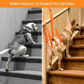 Paralyzed Dog Harness with Hind Leg Support - Small Sized Dog Sling, Adjustable Lift Harness, Hip Dysplasia Brace & ACL Tear Aid for Elderly Dogs - Alternative to Dog Wheelchair