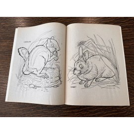 Forest Friends Coloring Book vintage 1970s NEW