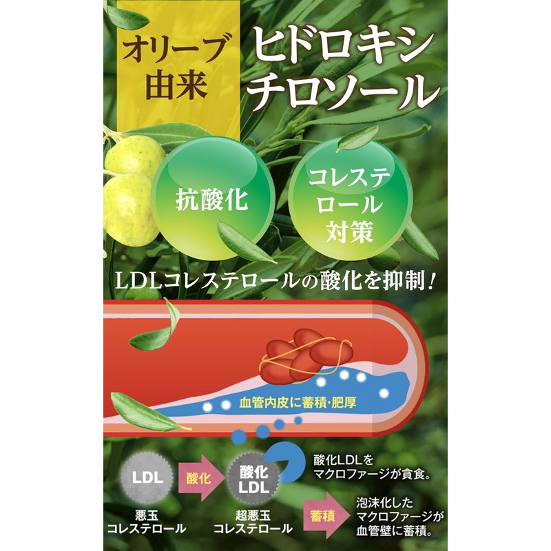 Wakan no Mori Olive & GABA Blessing 60 Tablets, Foods