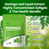 VivoNu Moringa Softgels | Energy, Immunity & Joint Support |