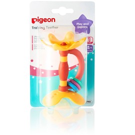 Pigeon Training Teether Step 1