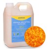 Desiccant Beads – 6.5 LBS Silica Beads with Orange Indicating
