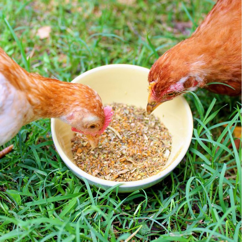 VentMyCoop Chicken Coop Herbs for Hens (10 Ounce) (0.5 Pounds)