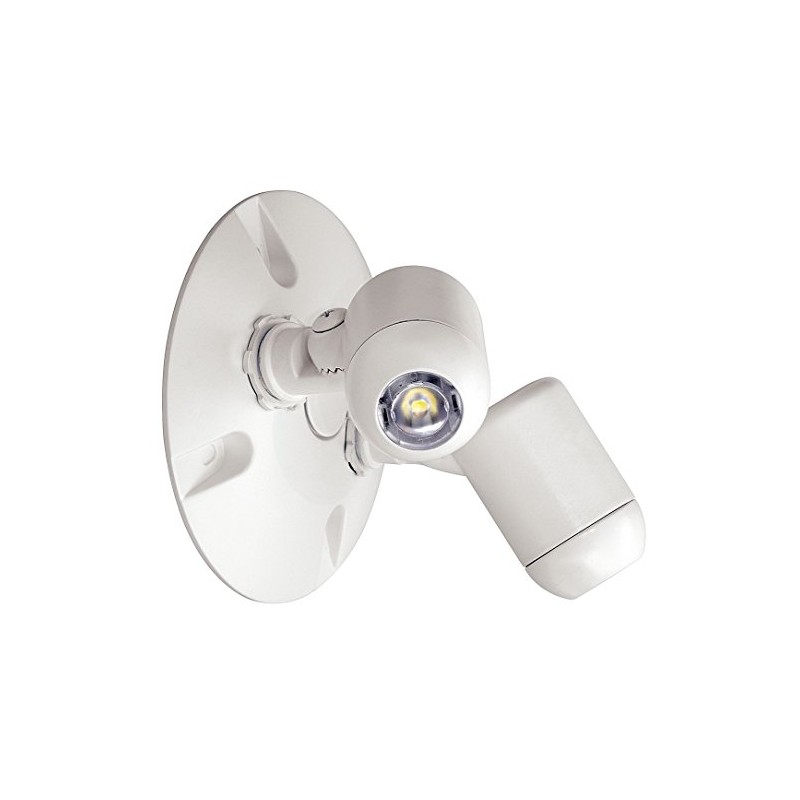 HUBBELL LIGHTING EVODW Dual-Lite Led Outdoor Emergency Remote Lighting, Double