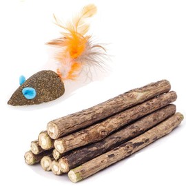 WoLover Cat Catnip Sticks Natural Matatabi Silvervine Sticks - Cleaning Teeth Molar Tools Kitten Cat Chew Toy Natural Catnip Cat Toy (10 PCS)