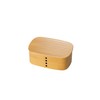 Tatsumiya 301779 Wappa 1-Tier Bento Box, 23.7 fl oz (700