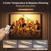 Aoceley 15.7" 10000mAh USB-C Rechargeable Picture Wall Light,3CCT Dimmable Wall
