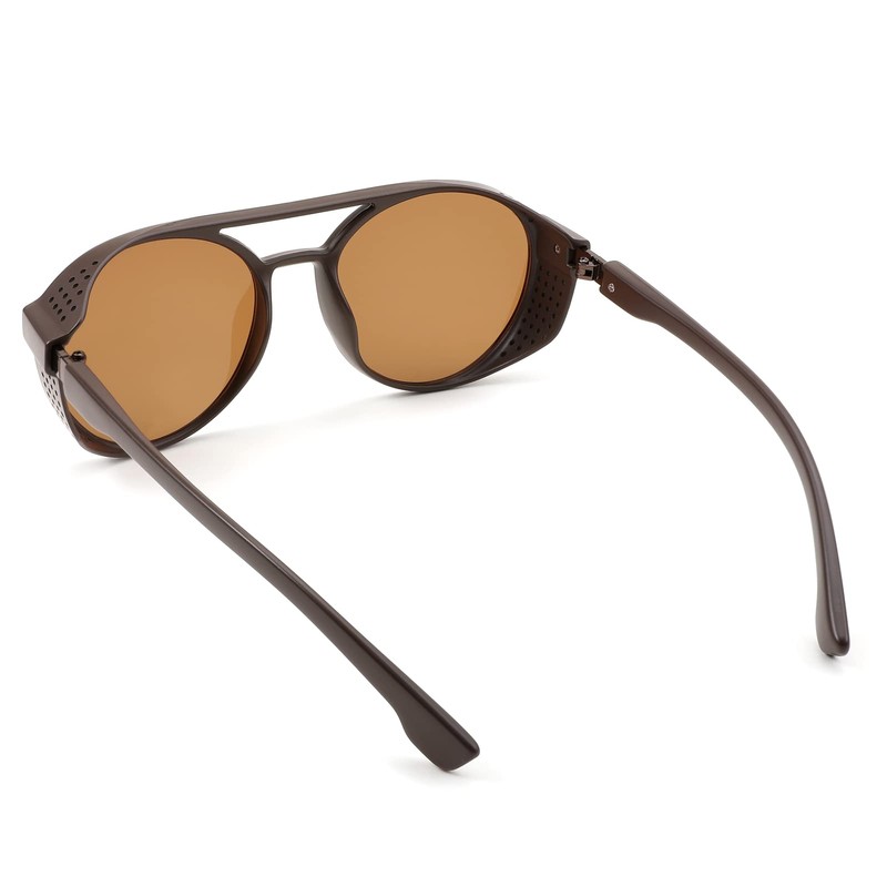 FEISEDY Classic Steampunk Sunglasses for Men Women Retro Round Gothic