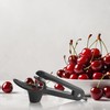 Cherry Pitter, Stainless Steel Cherry Stone Remover, Fruit Corer, Premium