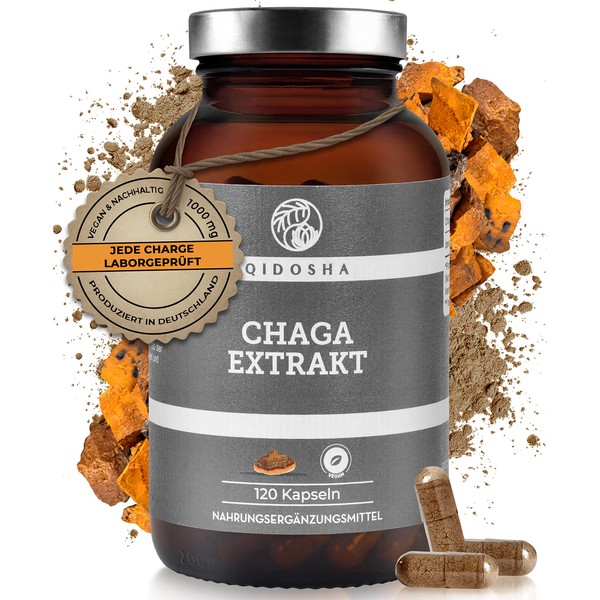 QIDOSHA® Chaga Extract (5:1) Capsules High Dosage, 120 Pieces in Glass (no Plastic), 1000 mg Slate Shimmer Porling Extract per Daily Dose, Chaga Mushroom Capsules High Dose, from Wild Collection of