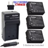 Kastar DMW-BLC12 Battery or Normal Charger for Leica V-Lux 4,