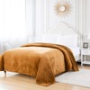 BOURINA Flannel Blanket Throw Lightweight Cozy Plush Microfiber Solid Fleece