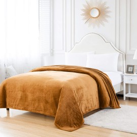 BOURINA Flannel Blanket Throw Lightweight Cozy Plush Microfiber Solid Fleece Blanket,Throw (Almond, 127x152cm)