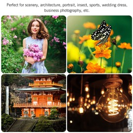 Andoer 85mm Fixed Focus Camera Lens F1.8 Large Aperture Manual Focus with EF Mount 7 Groups 10 Elements Compatible with Canon EOS Rebel T8i T7i T6 T3i T2i 4000D 2000D 1300D 850D 800D 600D 550D 90D 80D