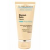 Dr. Schrammek Blemish Balm Classic BB Cream 30ml x 1 / 닥터슈라멕 블레미쉬 밤 클래식 비비크림 30ml 1개