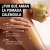 Xamania Pomada Cicatrizante Caléndula Cacao Karité Crema Quemaduras Eczema Rozaduras