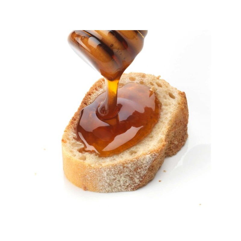 디엠바이오 dmBio 포레스트 꿀 500g (병) dmBio Forest Honey 500g