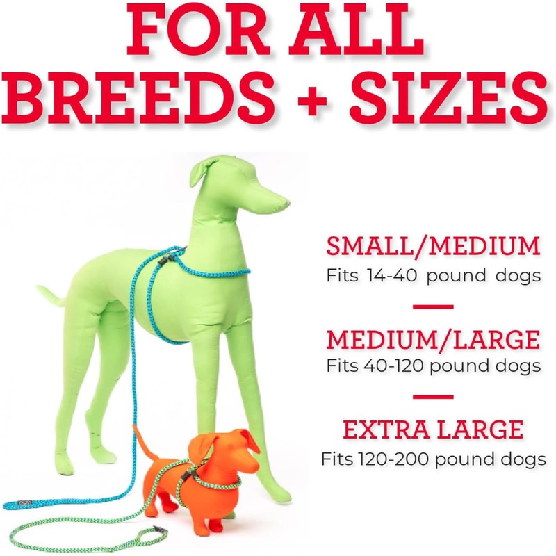 Harness Lead No Pull Dog Harness and Leash Set, Anti