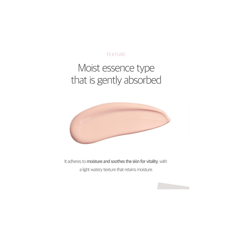ROUND LAB [ROUND LAB]*renewal* Birch Moisture Tone-Up Sunscreen 50ml