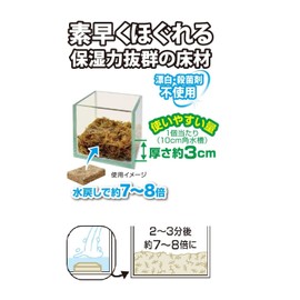 Vivaria Natural Water Moss