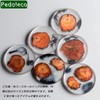 Pedoleco Coasters Set of 6 with Storage Case for Crafts,