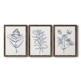 Wall Décor, Livingroom Wall Art,Modern, Industrial, Cape Cod, Colonial, Garden, Geometric, Walnut Barnwood Framed Canvas, 3 Piece Set, Indigo Botany Study I 17X20