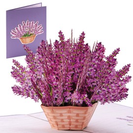 IOYOUNOW Lavender Paper Flower Bouquet - 5x7 Inch Pop Up Flower Greetings Card | Best 3D Pop Up Card For Birthday, Anniversary, Mothers Day and More