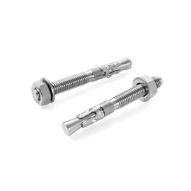 QWORK 20 Pack 5/16" X 2-3/4" 316 Stainless Steel Wedge Anchor for Office, Garage, Marine