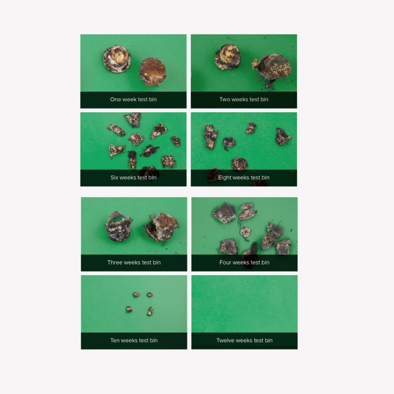 Amorcaffe 50 Home Compostable Compatible with Nespresso Coffee Capsules Pods