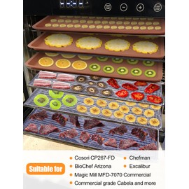 4 Silicone Dehydrator Mats with Edge + 6 Mesh Dehydrator Sheets Reusable Non-stick Fruit Dehydrator Mats Compatible with Cosori CP267-FD Silicone Tray Liner for Fruits Meat Vegetables(Pack of 10)