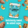 Lakanto Keto Friendly Candied Nuts Low Sugar Vegan Snack 8