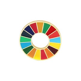United Nations Sustainable Development Goals Represents Enamel Lapel Pin Brooch With 17 Colors Medal Badge Geometric Patterns