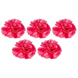 Ginger Ray Hot Pink Tissue Paper Pom Poms 5 Pack Wedding & Party Decorations - Summer Fruits