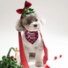 BlissBud Funny Christmas Bandanas for Dogs - Holiday Red Plaid