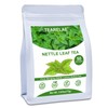 TEARELAE - Nettle Leaf Tea - 1.5g x 50 Counts