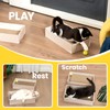 Conlun Cat Scratcher Box with 4 Scratching Pads&2 Separate Cardboard