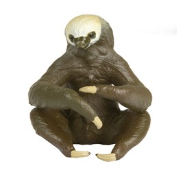 Safari Ltd. Two-Toed Sloth- Realistic Hand Painted Toy Figurine Model - Quality Construction from Phthalate, Lead and BPA Free Materials - For Ages 3 and Up
