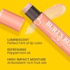 Burt's Bees - Brillo de labios hidratante 100% natural